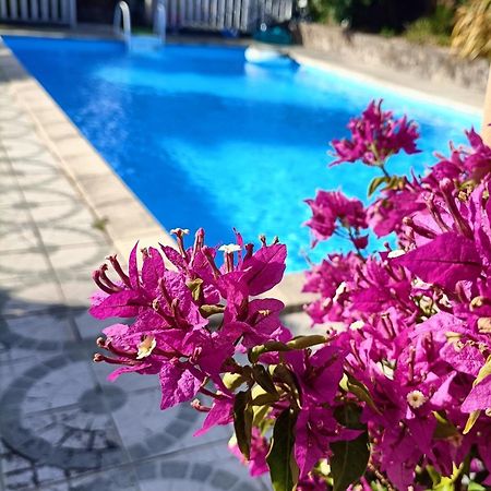 Les Bichettes Bed & Breakfast Mortagne-sur-Sevre Eksteriør bilde