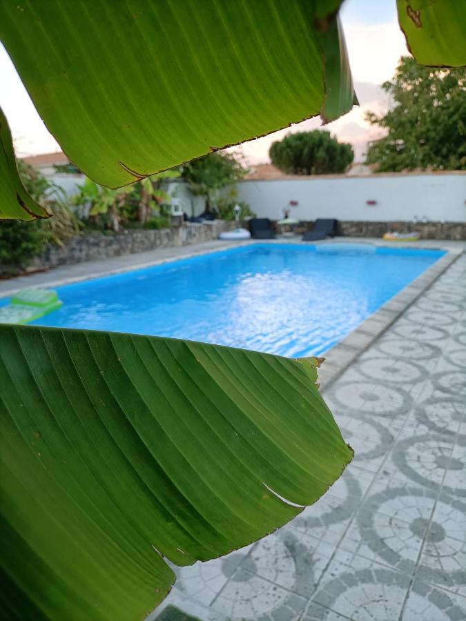 Les Bichettes Bed & Breakfast Mortagne-sur-Sevre Eksteriør bilde