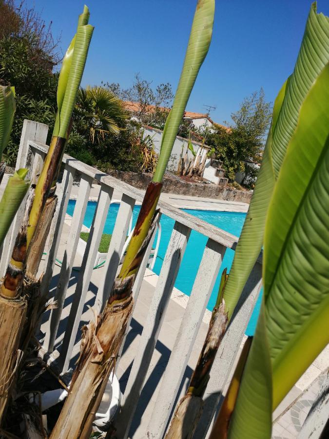 Les Bichettes Bed & Breakfast Mortagne-sur-Sevre Eksteriør bilde