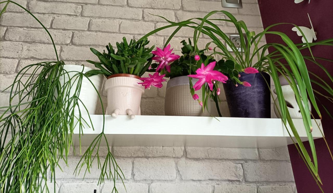 Les Bichettes Bed & Breakfast Mortagne-sur-Sevre Eksteriør bilde