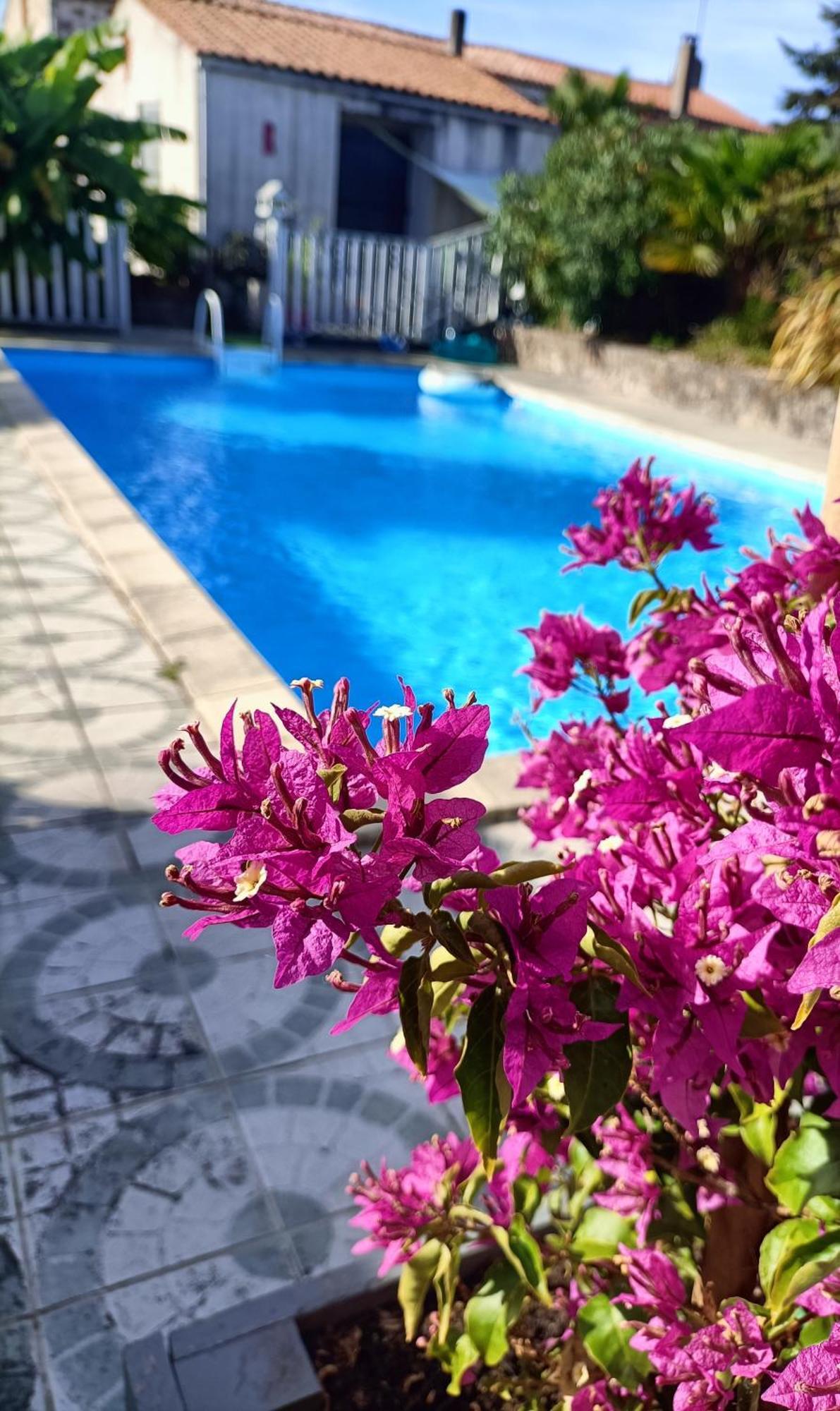 Les Bichettes Bed & Breakfast Mortagne-sur-Sevre Eksteriør bilde